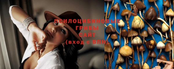 сатива Богданович