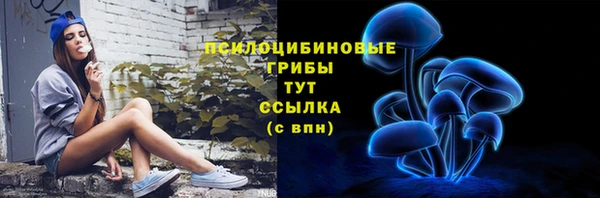 сатива Богданович