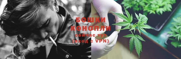 тгк Богородицк