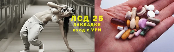 сатива Богданович