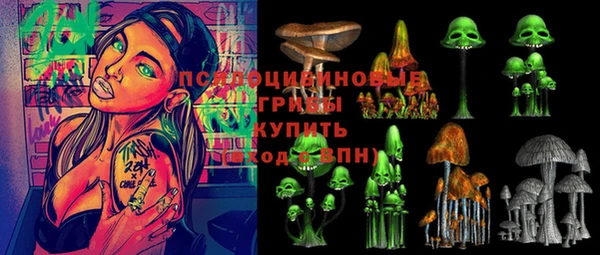 Альфа ПВП Бородино