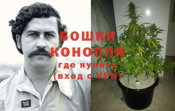 тгк Богородицк