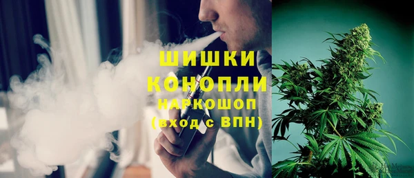 сатива Богданович