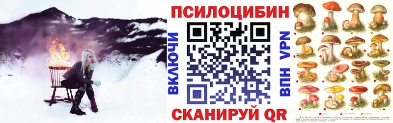 Галлюциногенные грибы GOLDEN TEACHER  цена   Брянск 